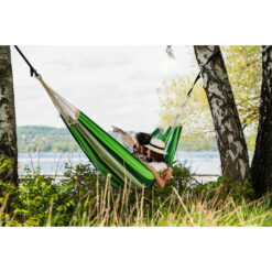 Alternative view of Amazonas Paradiso oliva