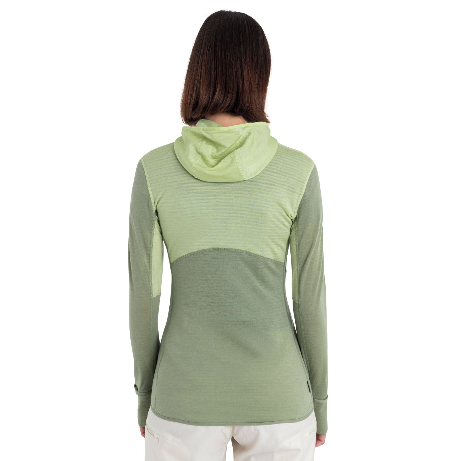 Icebreaker Merino Blend 200 Realfleece Descender Half-Zip-Hoodie Damen – Bild 2