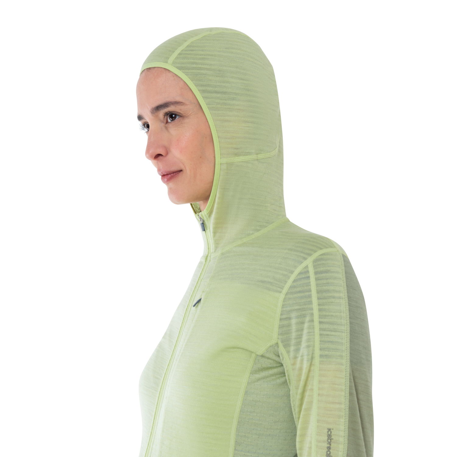 Icebreaker Merino Blend 200 Realfleece Descender Half-Zip-Hoodie Damen – Bild 6