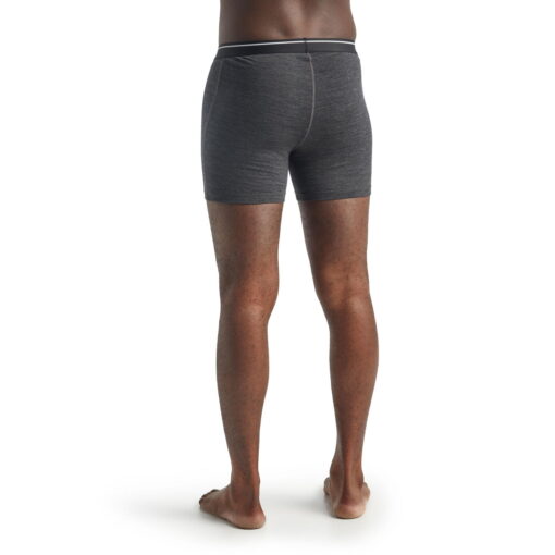 Icebreaker Anatomica Boxers – Bild 6