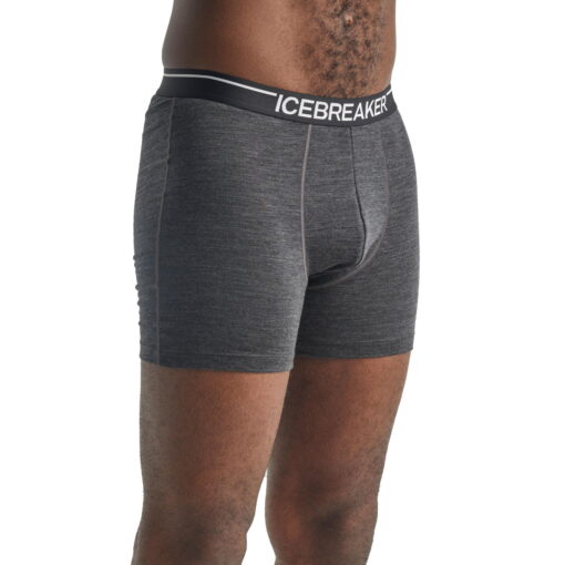 Icebreaker Anatomica Boxers